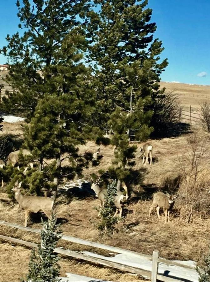 Sundance Suite - Prairie Rose Bed & Breakfast Cheyenne Luaran gambar