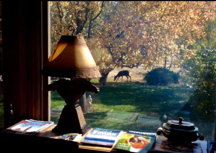 Sundance Suite - Prairie Rose Bed & Breakfast Cheyenne Luaran gambar
